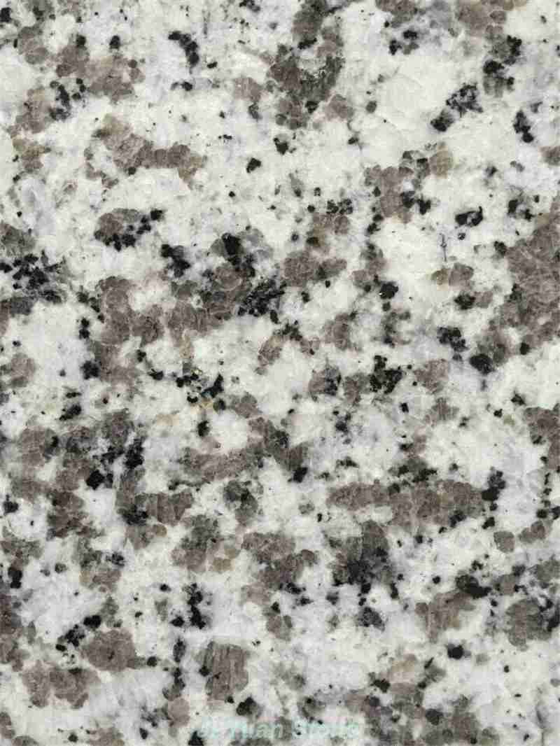 Snowfall granite,snow white granite,stellar snow quartz,snowflake granite,snow grey granite,g439 granite,white flower granite,honed snow white granite